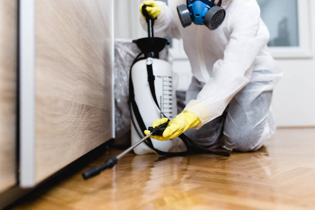 Best Ant Control Services  in Texanna, OK