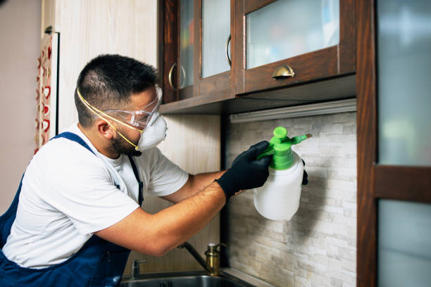 Best Pest Prevention Services  in Texanna, OK