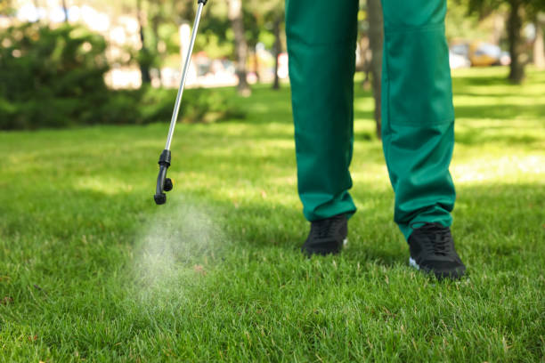 Best Affordable Exterminators  in Texanna, OK