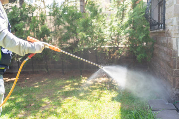 Best Bed Bug Extermination  in Texanna, OK