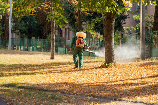 Best Pest Control Near Me  in Texanna, OK